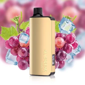 Wholesale Alibarbar Ingot 9000 Puffs Grape Ice